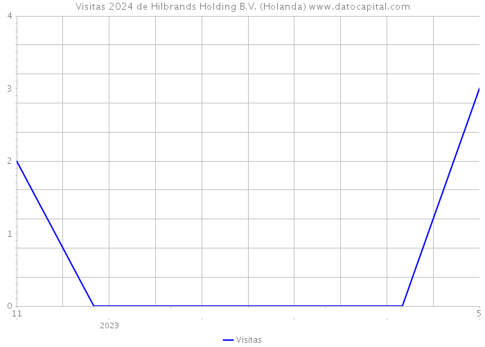 Visitas 2024 de Hilbrands Holding B.V. (Holanda) 