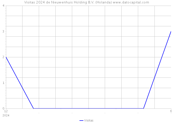 Visitas 2024 de Nieuwenhuis Holding B.V. (Holanda) 