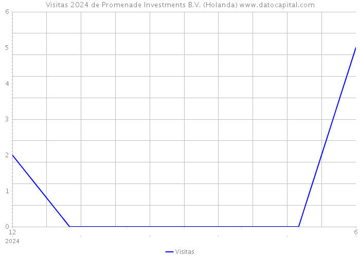 Visitas 2024 de Promenade Investments B.V. (Holanda) 