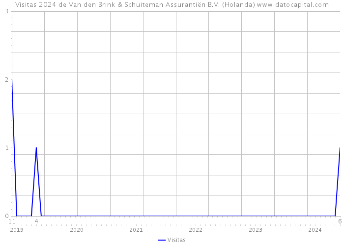 Visitas 2024 de Van den Brink & Schuiteman Assurantiën B.V. (Holanda) 