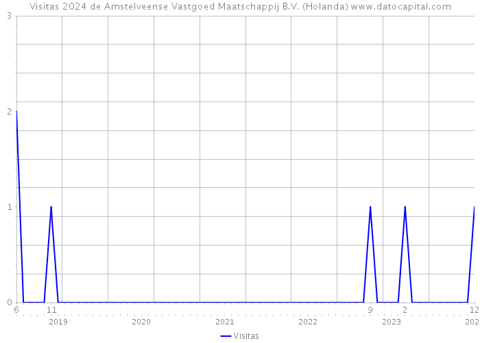 Visitas 2024 de Amstelveense Vastgoed Maatschappij B.V. (Holanda) 