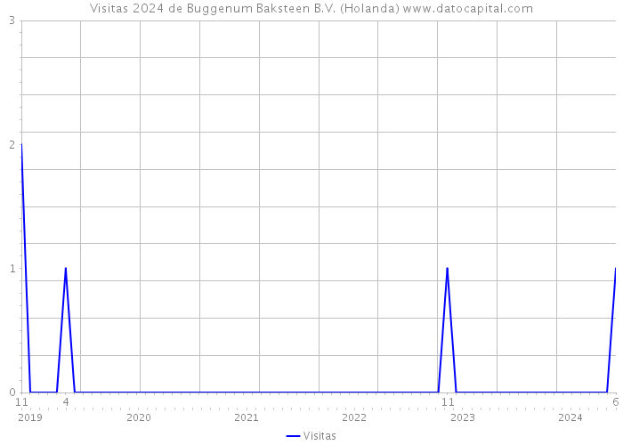 Visitas 2024 de Buggenum Baksteen B.V. (Holanda) 