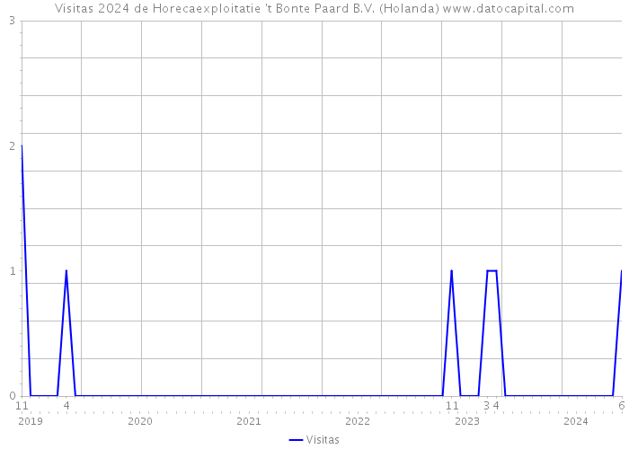 Visitas 2024 de Horecaexploitatie 't Bonte Paard B.V. (Holanda) 