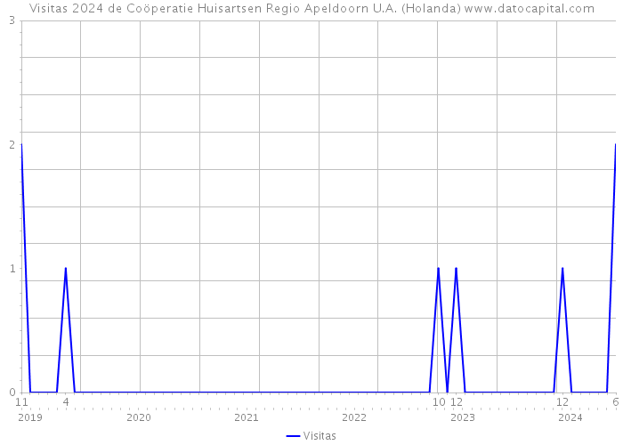 Visitas 2024 de Coöperatie Huisartsen Regio Apeldoorn U.A. (Holanda) 