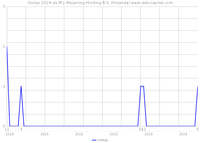 Visitas 2024 de M.J. Meijering Holding B.V. (Holanda) 
