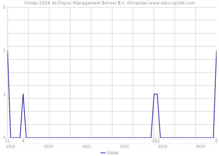 Visitas 2024 de Pieper Management Beheer B.V. (Holanda) 