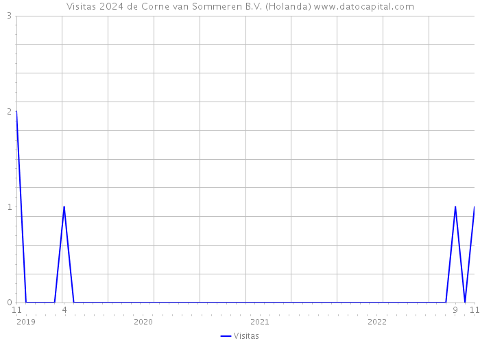 Visitas 2024 de Corne van Sommeren B.V. (Holanda) 