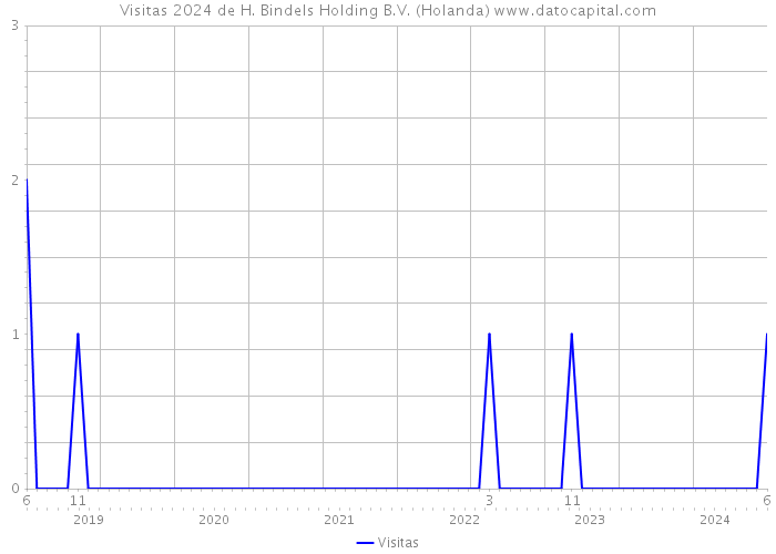 Visitas 2024 de H. Bindels Holding B.V. (Holanda) 