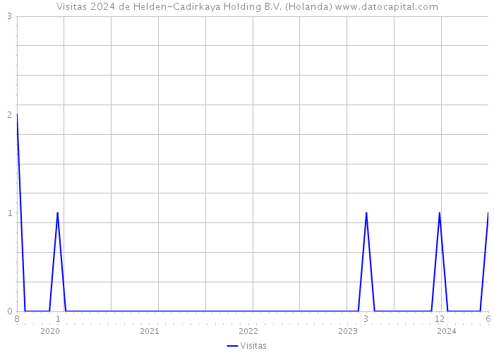 Visitas 2024 de Helden-Cadirkaya Holding B.V. (Holanda) 