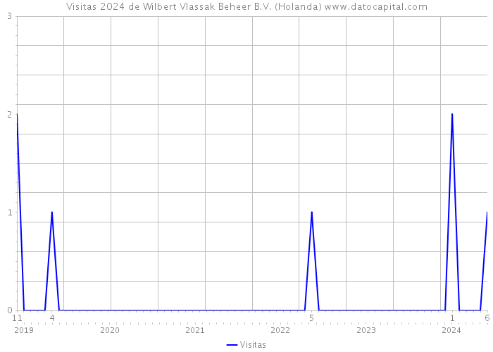 Visitas 2024 de Wilbert Vlassak Beheer B.V. (Holanda) 