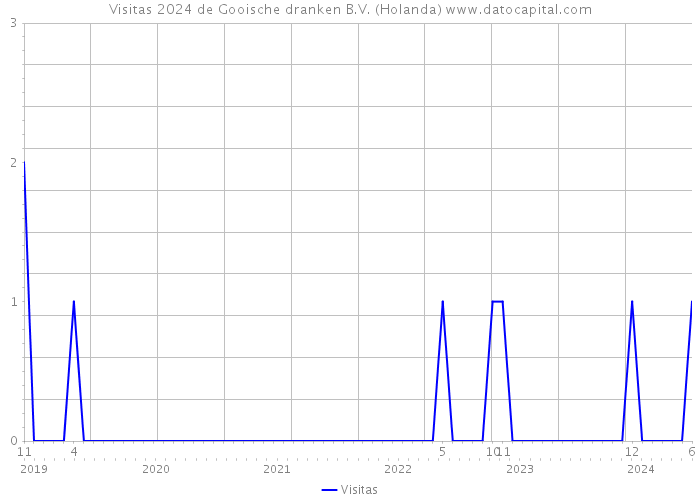 Visitas 2024 de Gooische dranken B.V. (Holanda) 