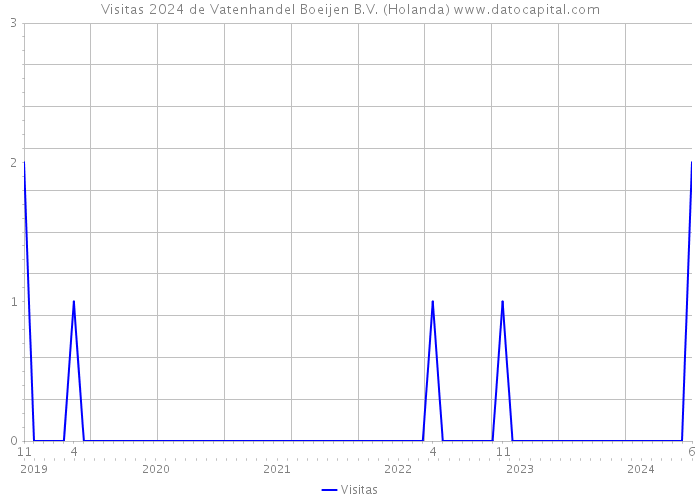 Visitas 2024 de Vatenhandel Boeijen B.V. (Holanda) 