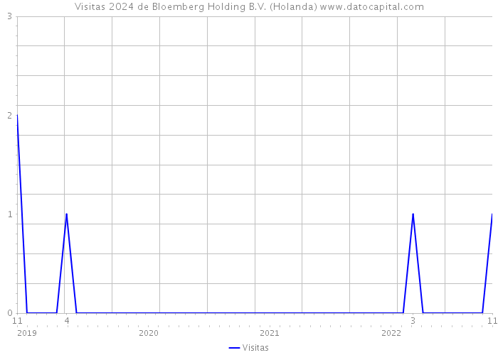 Visitas 2024 de Bloemberg Holding B.V. (Holanda) 