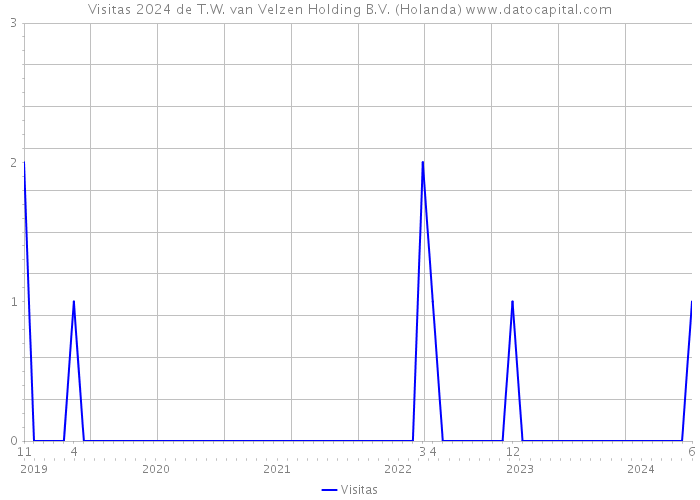 Visitas 2024 de T.W. van Velzen Holding B.V. (Holanda) 