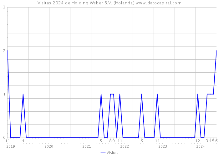 Visitas 2024 de Holding Weber B.V. (Holanda) 