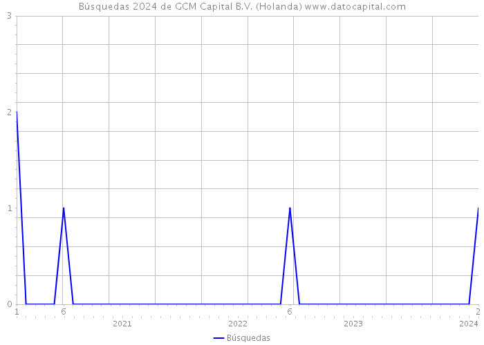 Búsquedas 2024 de GCM Capital B.V. (Holanda) 