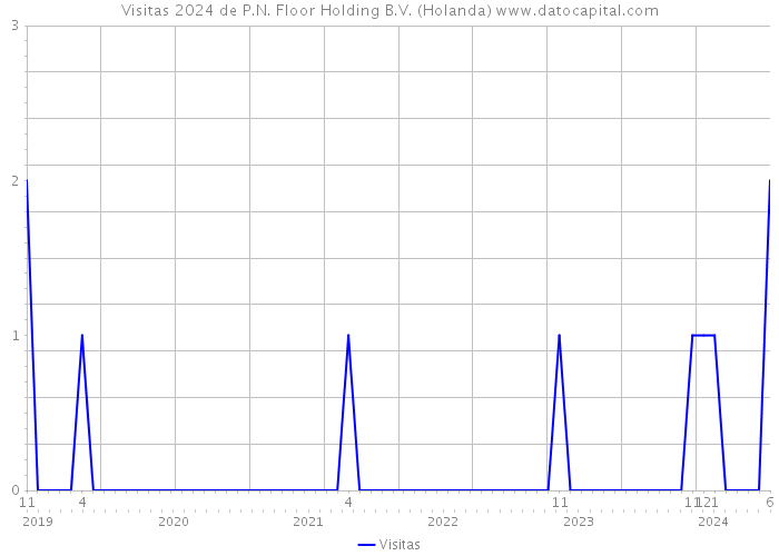 Visitas 2024 de P.N. Floor Holding B.V. (Holanda) 