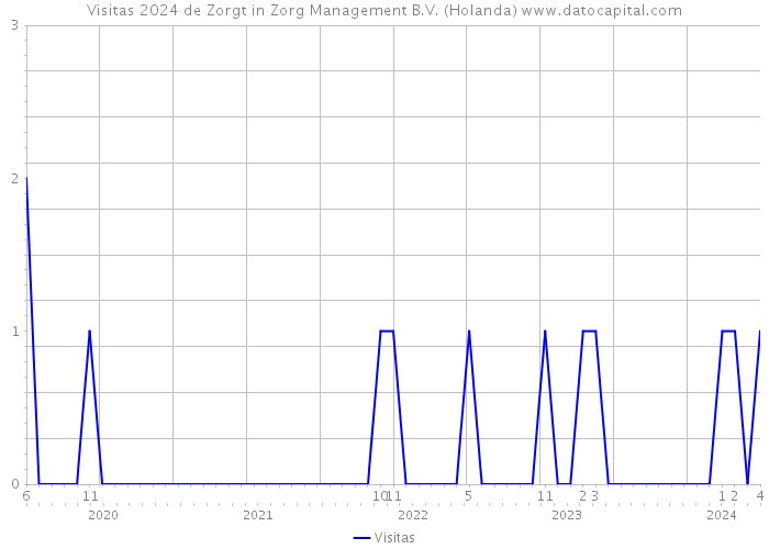 Visitas 2024 de Zorgt in Zorg Management B.V. (Holanda) 