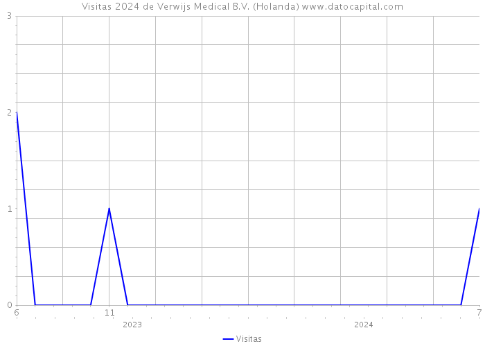 Visitas 2024 de Verwijs Medical B.V. (Holanda) 