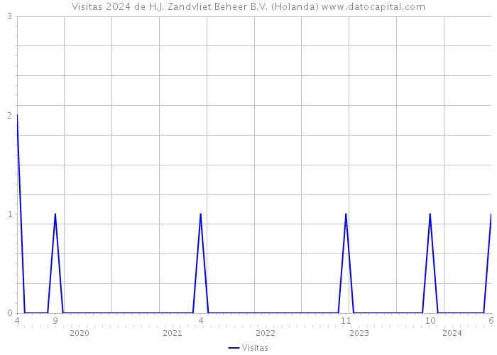 Visitas 2024 de H.J. Zandvliet Beheer B.V. (Holanda) 