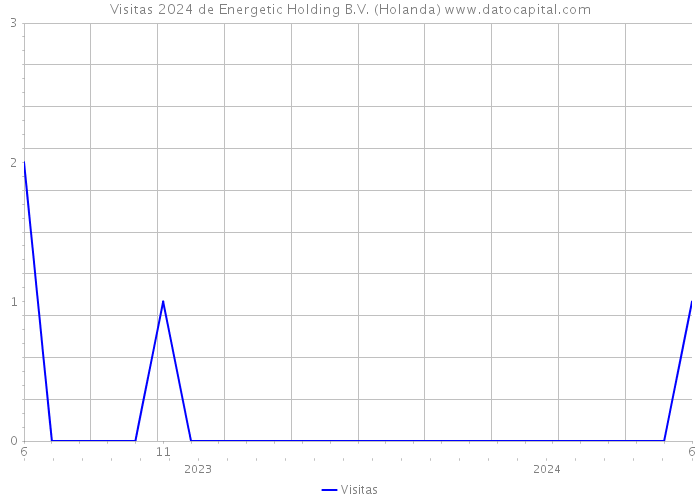 Visitas 2024 de Energetic Holding B.V. (Holanda) 