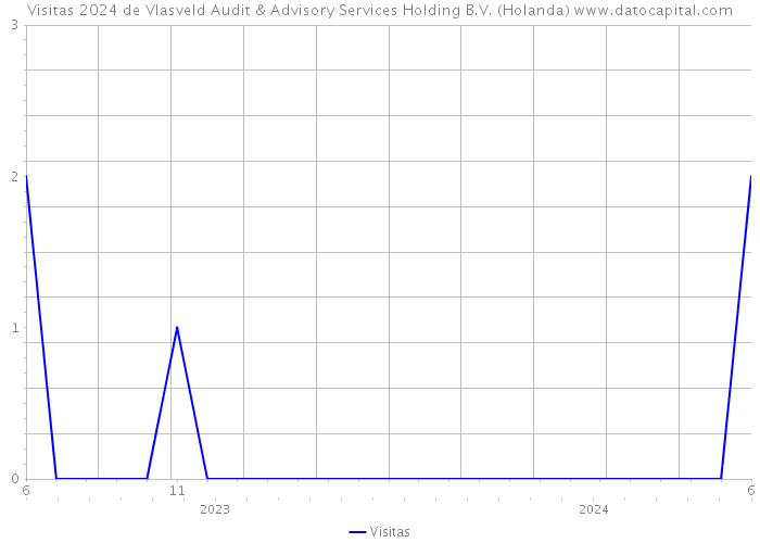Visitas 2024 de Vlasveld Audit & Advisory Services Holding B.V. (Holanda) 