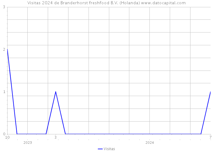 Visitas 2024 de Branderhorst freshfood B.V. (Holanda) 