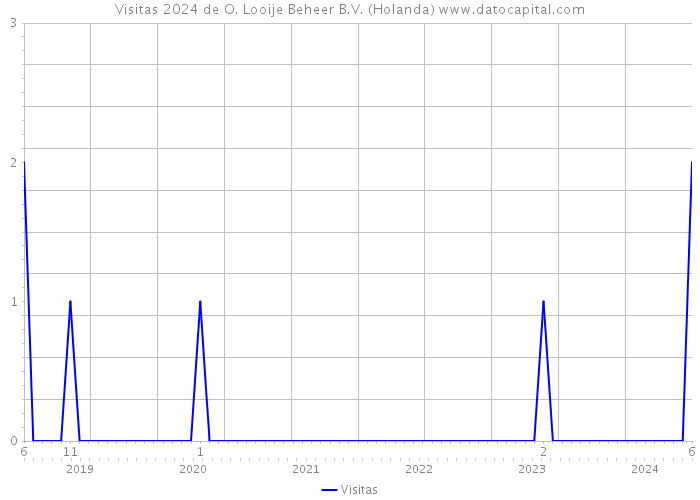 Visitas 2024 de O. Looije Beheer B.V. (Holanda) 