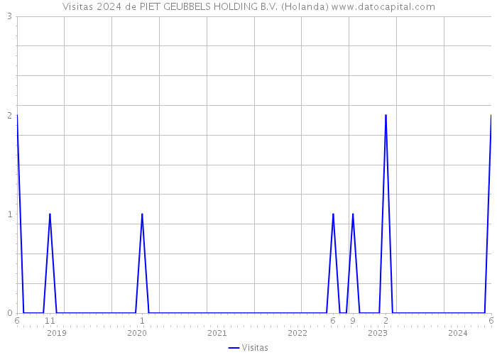 Visitas 2024 de PIET GEUBBELS HOLDING B.V. (Holanda) 