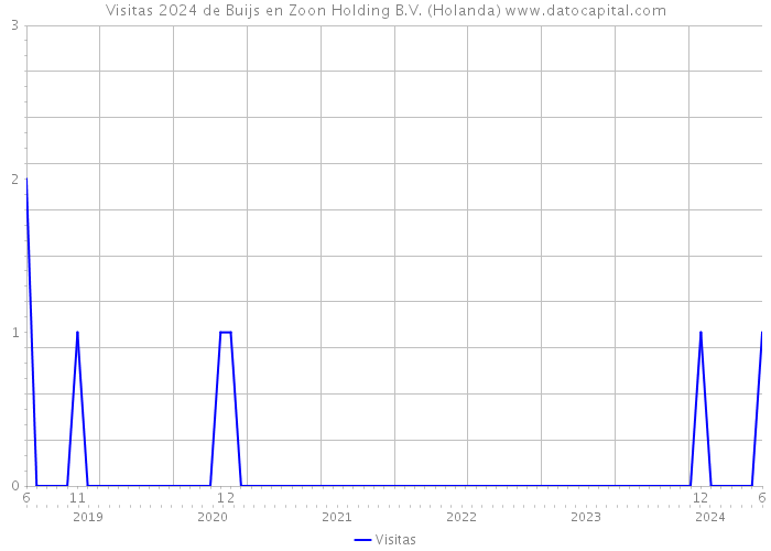 Visitas 2024 de Buijs en Zoon Holding B.V. (Holanda) 