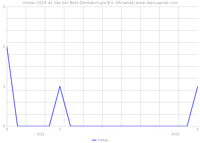 Visitas 2024 de Van der Bent Dermatologie B.V. (Holanda) 
