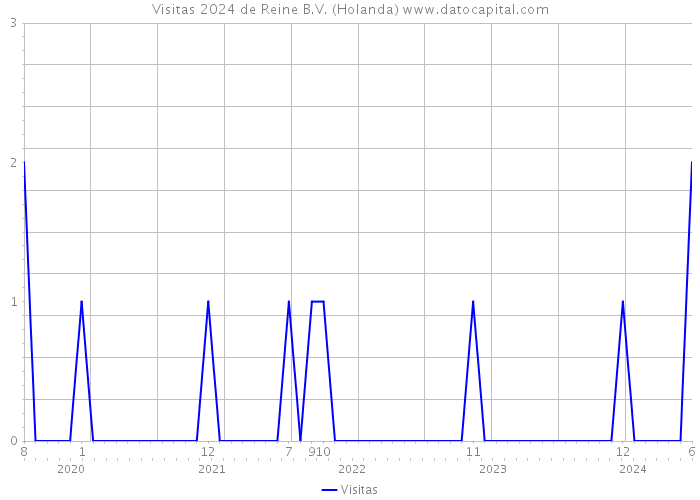 Visitas 2024 de Reine B.V. (Holanda) 