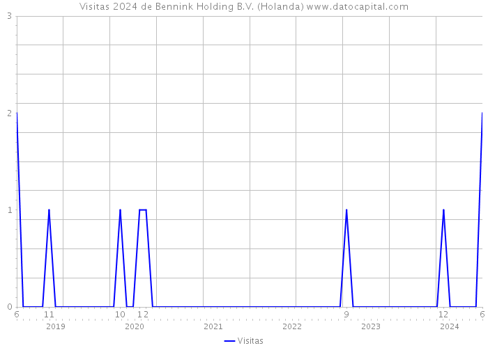 Visitas 2024 de Bennink Holding B.V. (Holanda) 