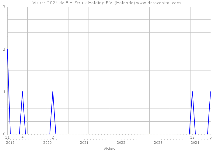Visitas 2024 de E.H. Struik Holding B.V. (Holanda) 
