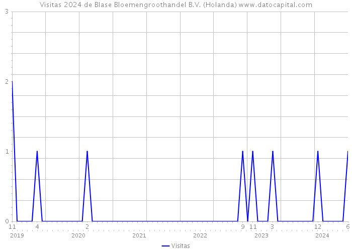 Visitas 2024 de Blase Bloemengroothandel B.V. (Holanda) 