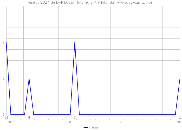 Visitas 2024 de DVP Detail Holding B.V. (Holanda) 