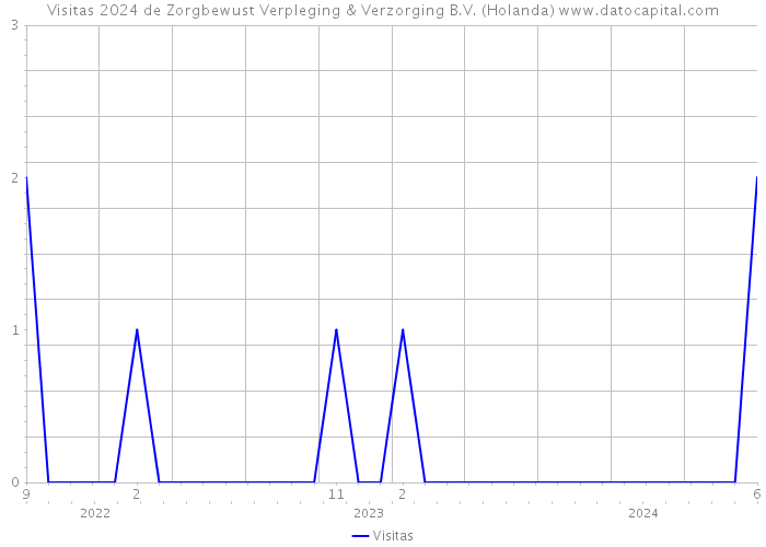 Visitas 2024 de Zorgbewust Verpleging & Verzorging B.V. (Holanda) 