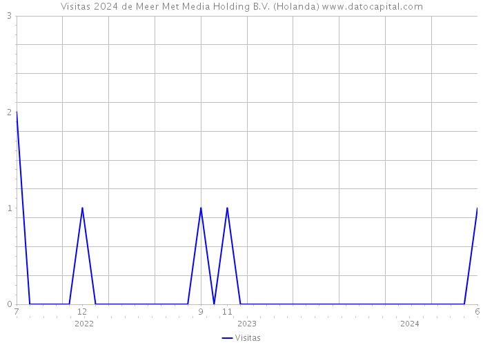 Visitas 2024 de Meer Met Media Holding B.V. (Holanda) 