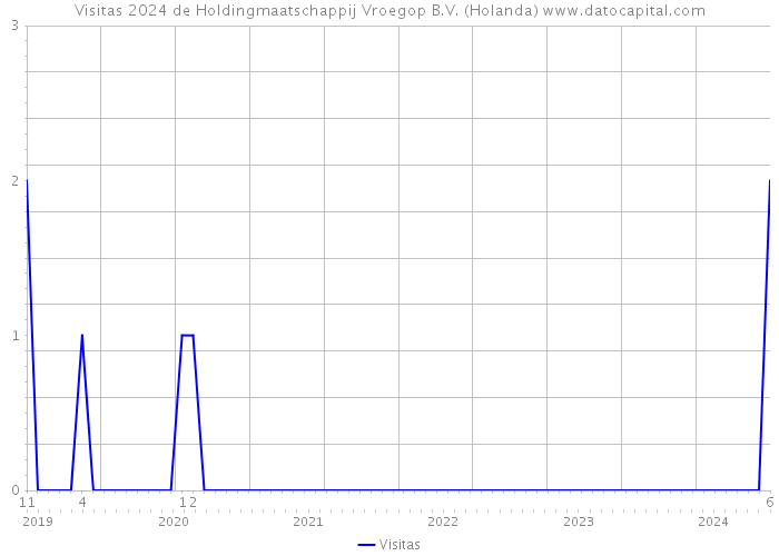 Visitas 2024 de Holdingmaatschappij Vroegop B.V. (Holanda) 