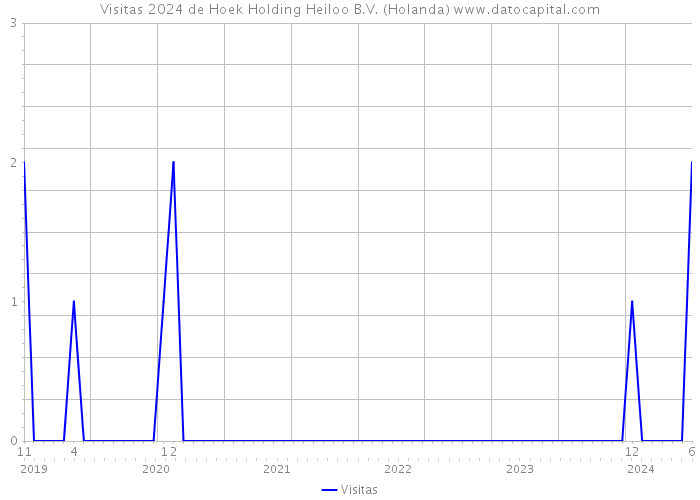 Visitas 2024 de Hoek Holding Heiloo B.V. (Holanda) 