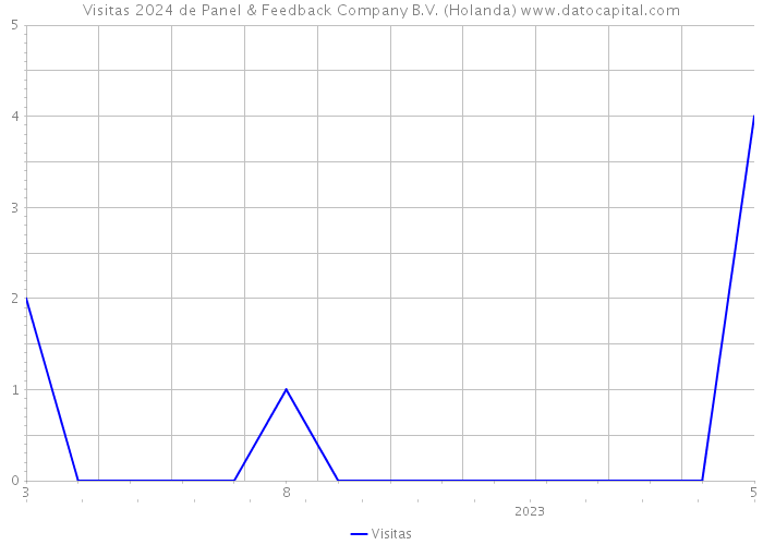 Visitas 2024 de Panel & Feedback Company B.V. (Holanda) 