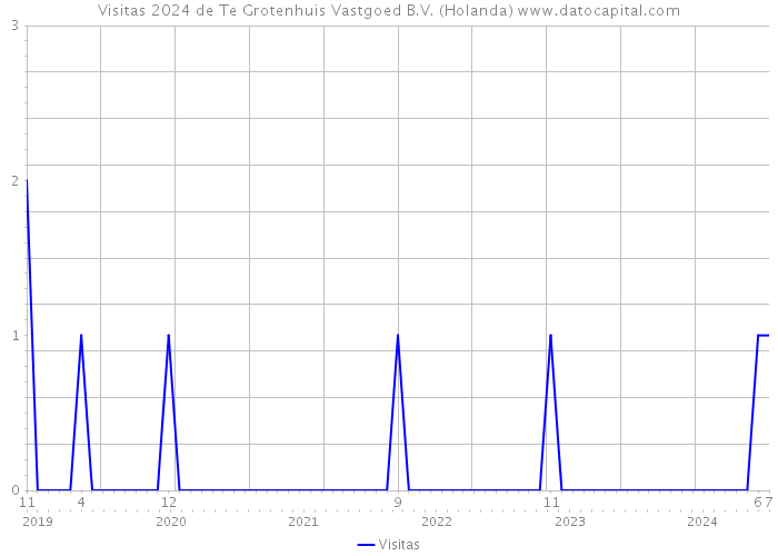 Visitas 2024 de Te Grotenhuis Vastgoed B.V. (Holanda) 