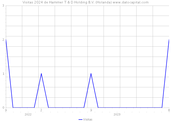 Visitas 2024 de Hammer T & D Holding B.V. (Holanda) 