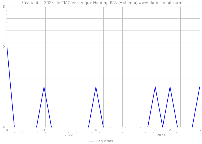 Búsquedas 2024 de TMC Veronique Holding B.V. (Holanda) 