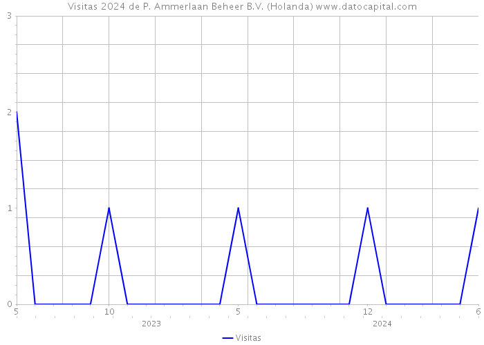 Visitas 2024 de P. Ammerlaan Beheer B.V. (Holanda) 