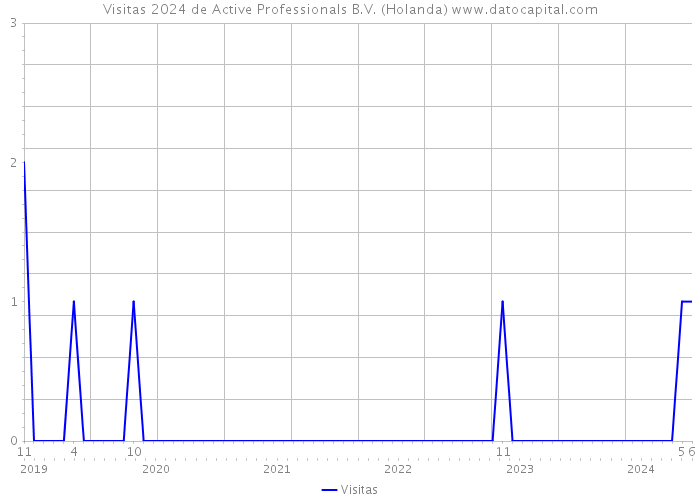 Visitas 2024 de Active Professionals B.V. (Holanda) 