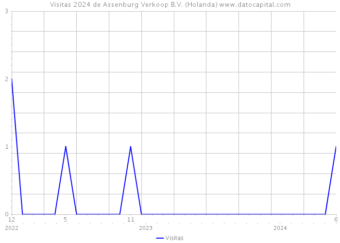 Visitas 2024 de Assenburg Verkoop B.V. (Holanda) 