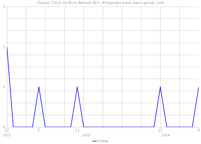 Visitas 2024 de Boes Beheer B.V. (Holanda) 