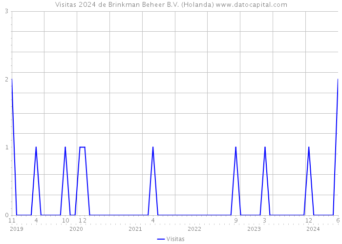 Visitas 2024 de Brinkman Beheer B.V. (Holanda) 