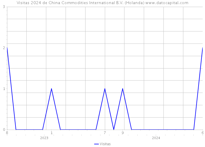 Visitas 2024 de China Commodities International B.V. (Holanda) 